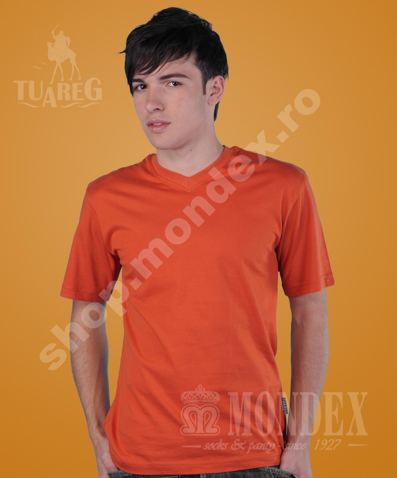 Tricou cu maneca scurta pentru barbati - 8003-1
