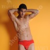 Slip pentru barbati, marca tuareg - 855-1